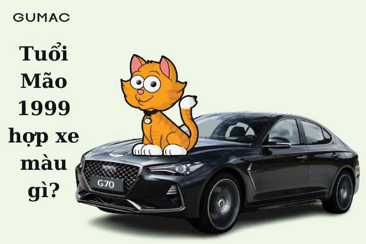 Tuổi 1999 hợp màu xe gì Tuổi 1999 hợp màu xe gì